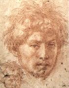 Andrea del Sarto Head of a Young Man oil painting on canvas